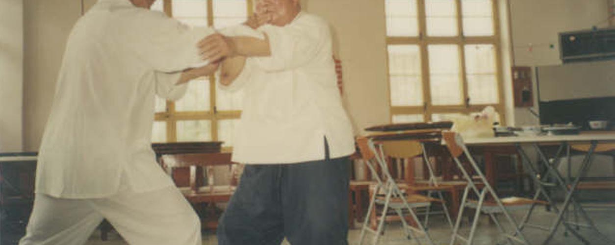 Tai Chi push hand Fu zhongwen